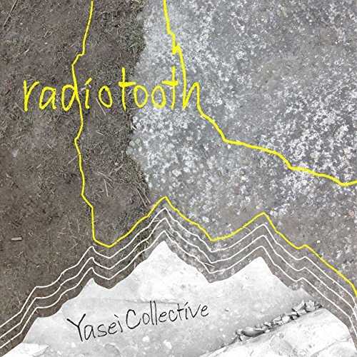[Single] Yasei Collective – radiotooth (2015.11.25/MP3/RAR)