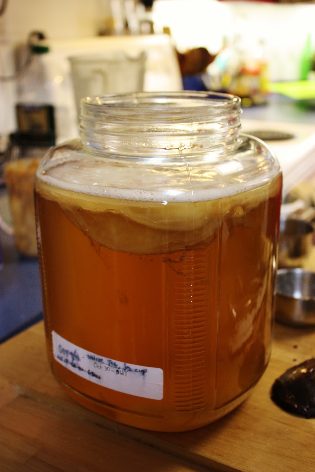 Выращивание чайного гриба. Чайный гриб 10 литров. Дрожжевые нити в чайном грибе. Зарождение чайного гриба. Вырастить чайный гриб.
