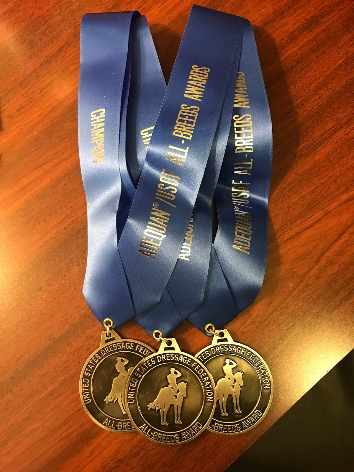 The Jumping Percheron United States Dressage Federation Annual Awards