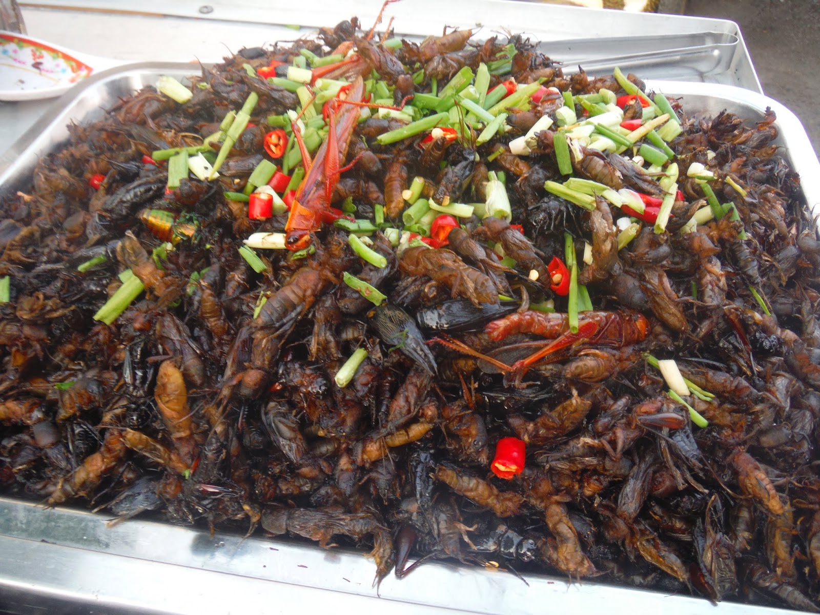 English AA102 Exotic Food