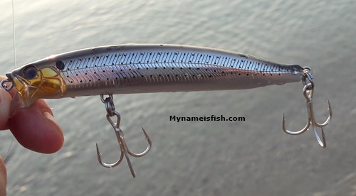 Tackle House lure for sea bass