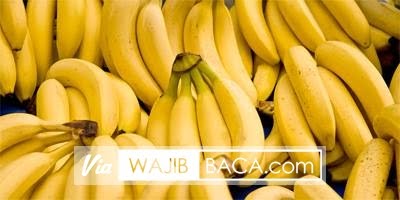 Sebaiknya Anda Perbanyak Konsumsi Beberapa Makanan Ini Untuk Menghilangkan Panas Dalam Sebaiknya Anda Perbanyak Konsumsi Beberapa Makanan Ini Untuk Menghilangkan Panas Dalam