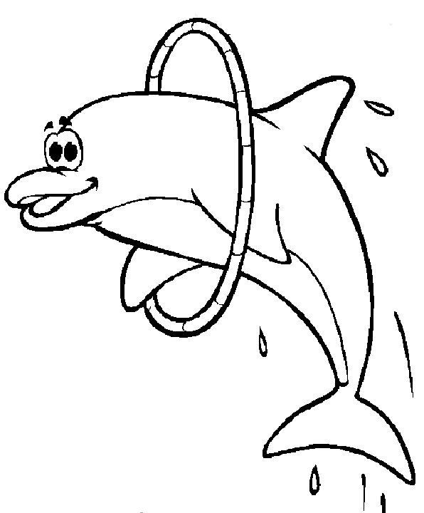 Dolphin Fish Animal Coloring Books for Kids title=