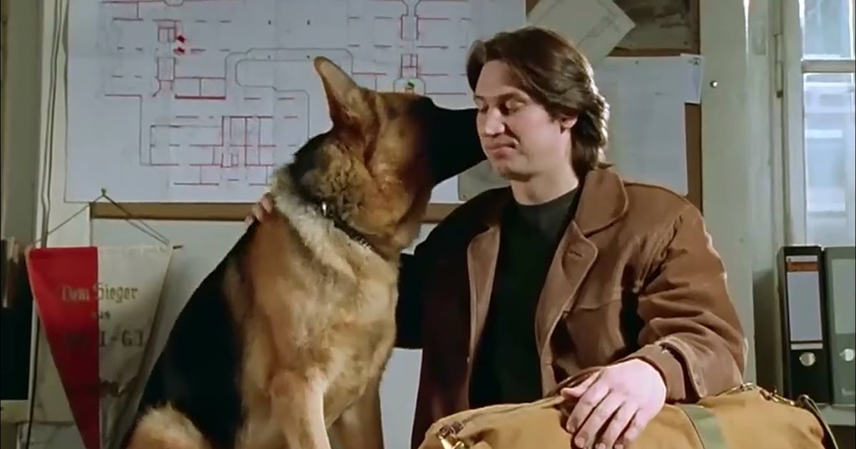 Que Sont Devenus Les Acteurs De Rex Rex, chien flic de Vienne.: Diagnostic mortel.