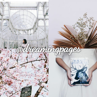 Instagram,ig literario ,gringa , dicas de instagram
