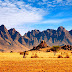 Tour: Surviving A Tour Across Africa