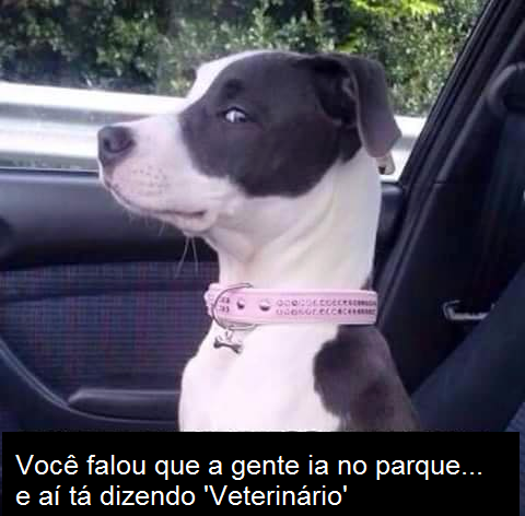 12003301_919323824808064_588106418129885