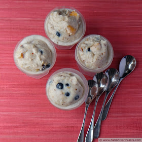 Lazy Leftover Fruit Salad Ice Cream from Farm Fresh Feasts
