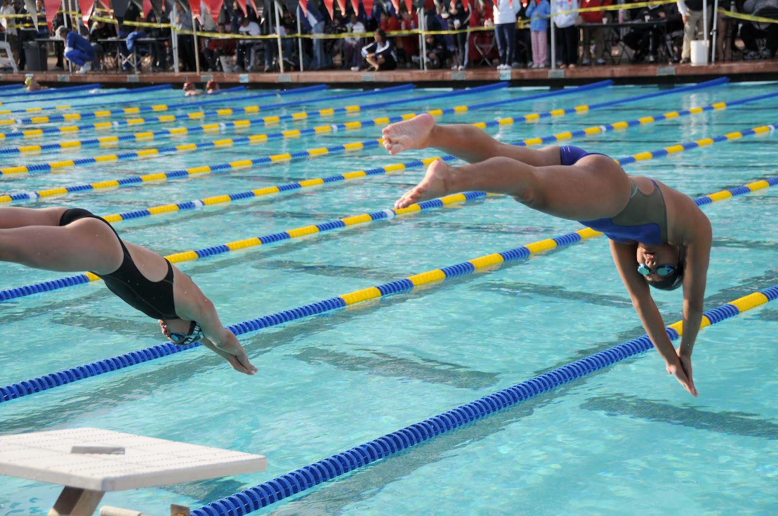 Swimming Sport And Recreation