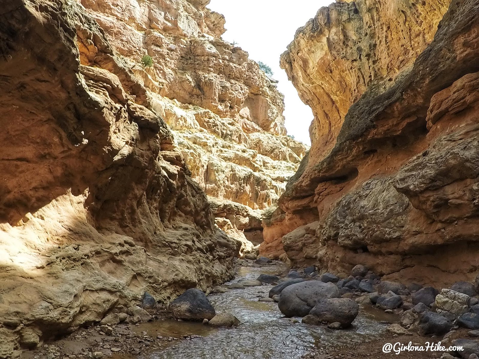 Hiking Sulphur Creek, Capitol Reef National Park Girl on a Hike