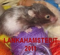 Lankahamsterit 2011