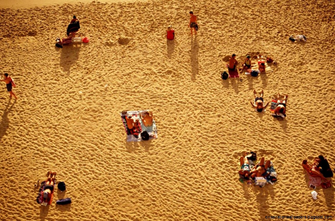Australian Christmas Summer