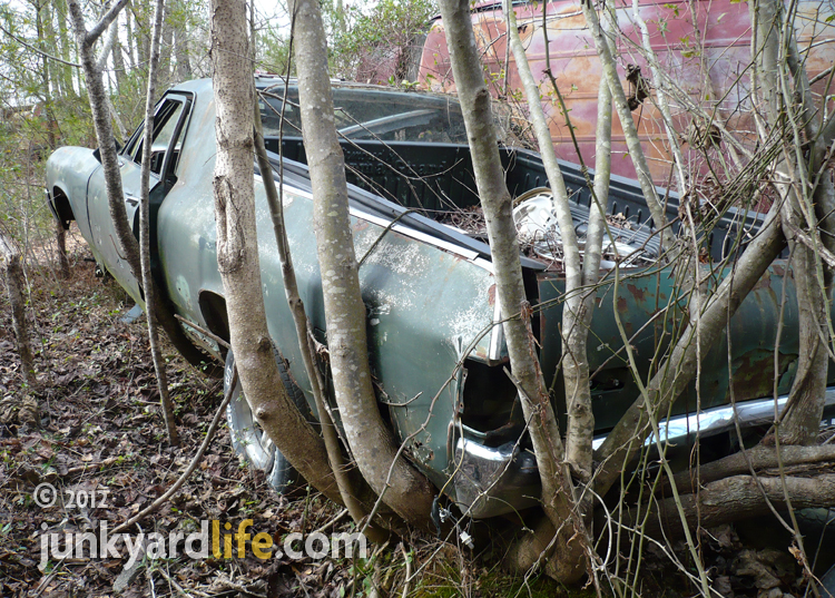 Junkyard Life Classic Cars, Muscle Cars, Barn finds, Hot rods and part