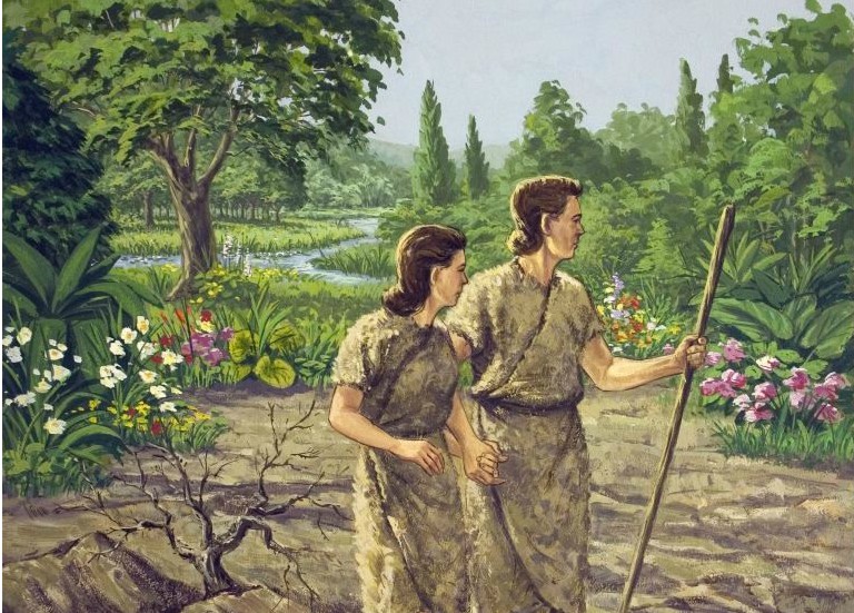 Bible Pictures: Adam and Eve