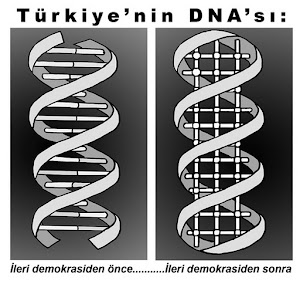 Türkiyenin DNA'sı