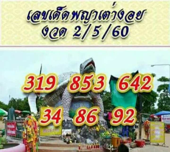 My Image 35