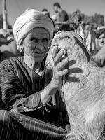 Cancer Road Trip Luxor Egypt Steven Boone