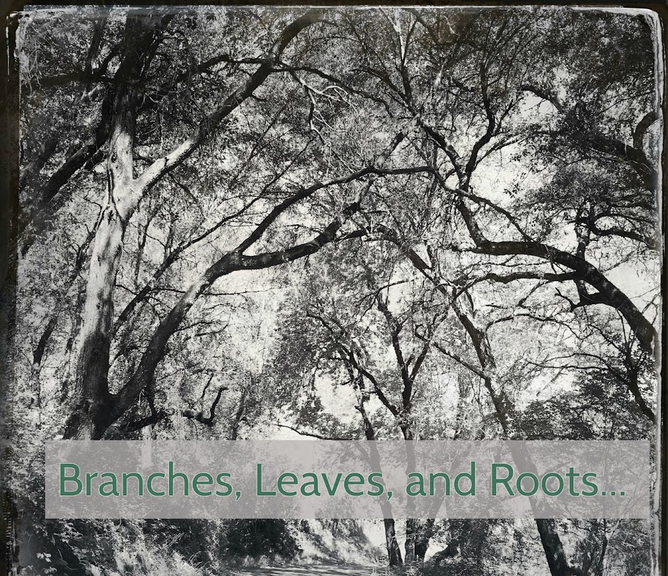 Branches, Leaves and Roots...