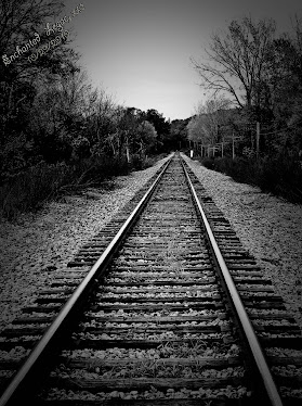 Hines Park Railroad, Published Photo 08/2010