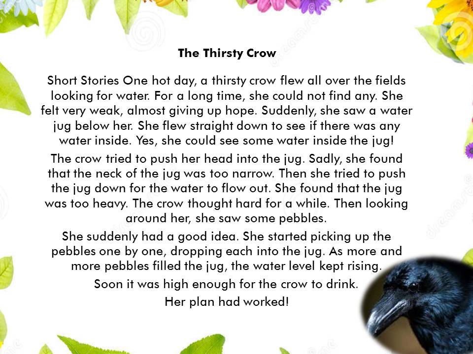 Cerita Bahasa Inggris Tentang Binatang Goreng