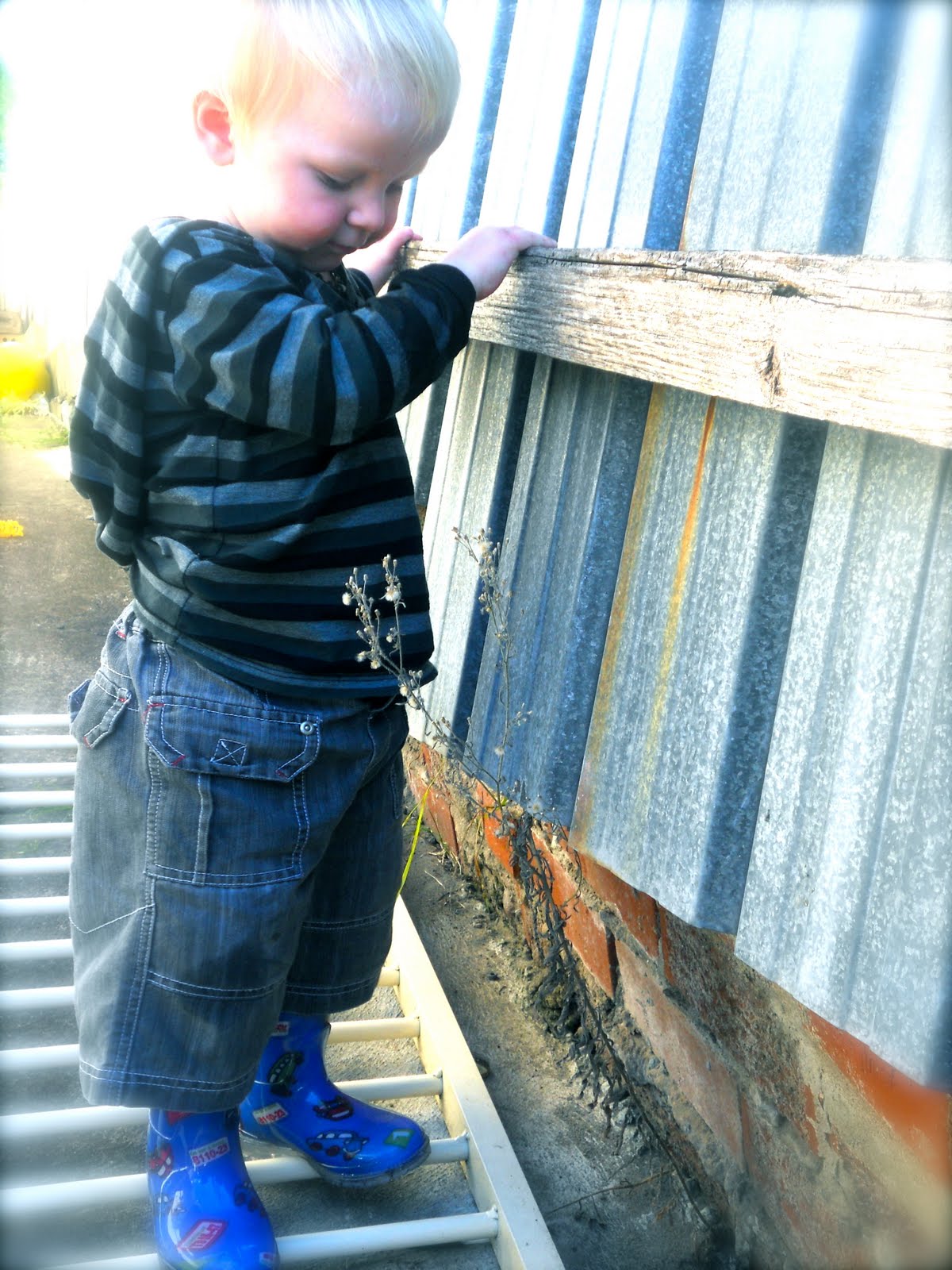 A beautiful Life GumBoots...