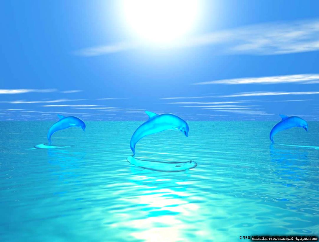 Computer Desktop Backgrounds Free   Wallpapers High Definition