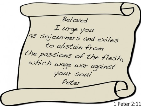 1 Peter 2 : 11 Bible Verse 