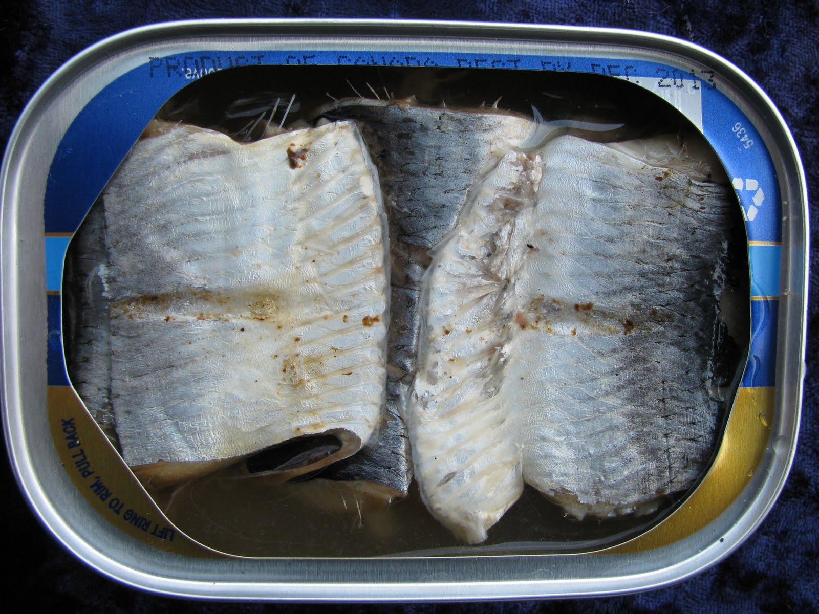 Mouth Full of Sardines Brunswick HolmesSardines 5