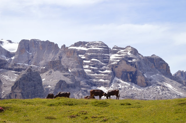 dolomiti di brenta