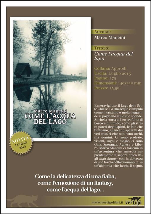 Marco Mancini Di cosa parla le