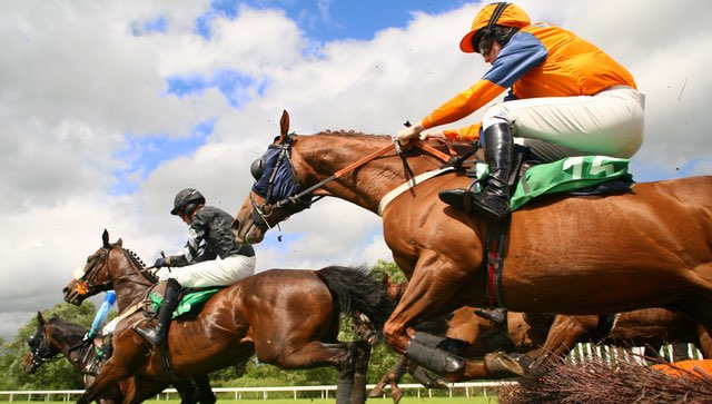 Horse Racing Race Horses jumping over a hedge