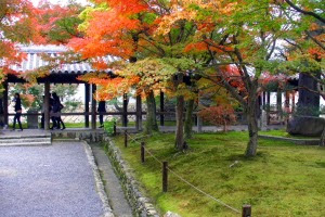 東福寺　庭園を巡る回廊