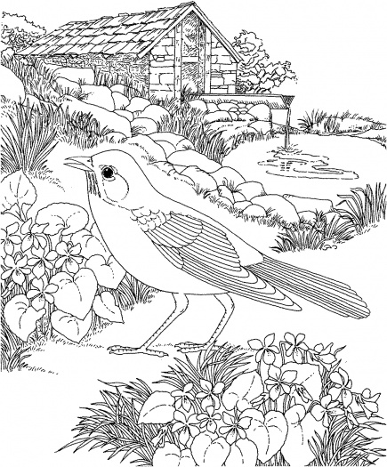 garden coloring pages for free - photo #41