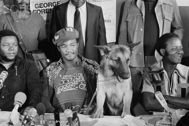 George Foreman accompanied by his controversial German shepherd Dago at Rumble in the Jungle - (1974) : r/OldSchoolCool