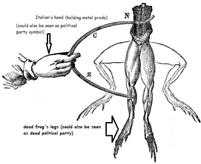 Гальвани препарирует лягушку. Первый опыт луиджи гальвани. Эксперимент с лягушкой. Луиджи гальвани портрет. Опыты на лягушках физиология.