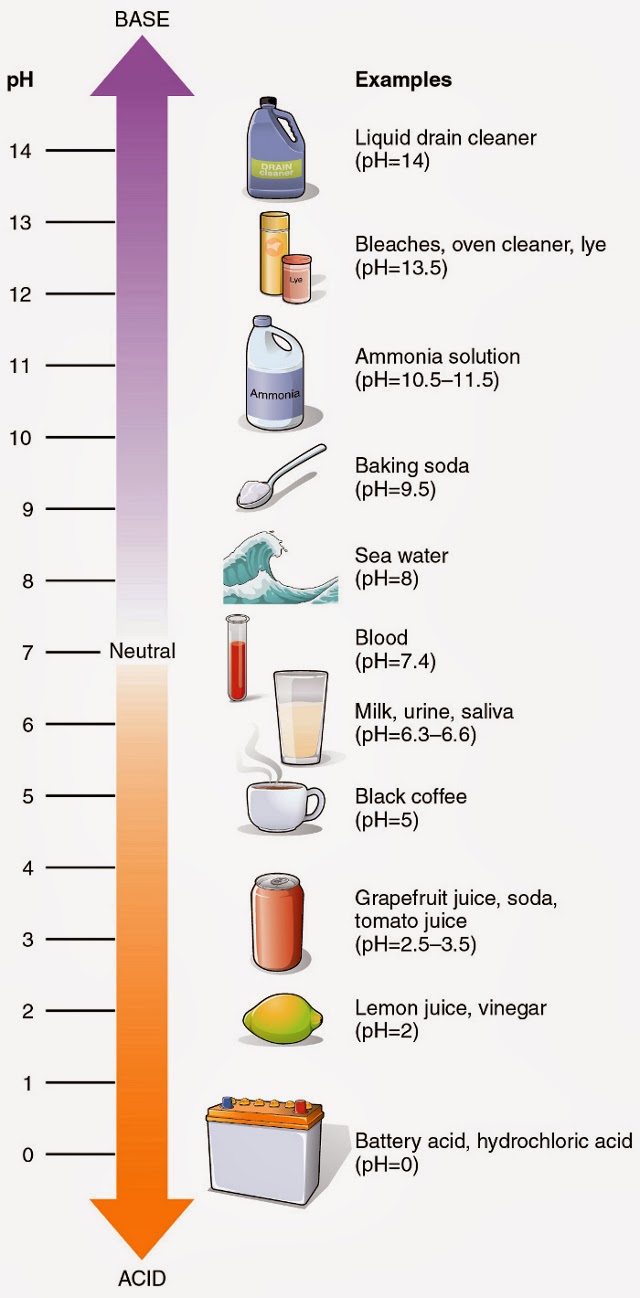 What Happens When You Drink Baking Soda With Water | Lifestylexpert