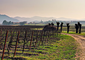 Berlucchi winery and Azelles vineyard