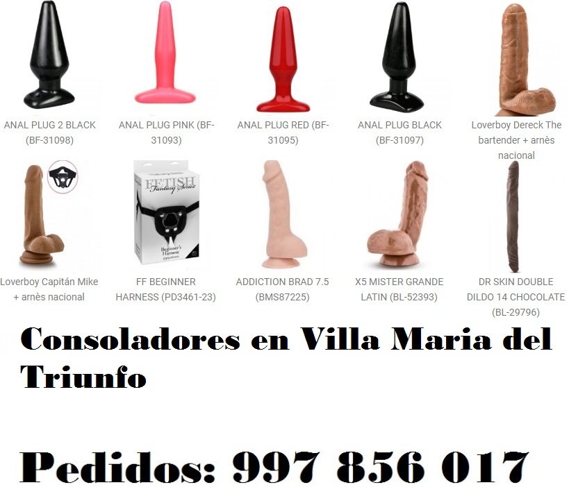 en Villa Maria del Triunfo