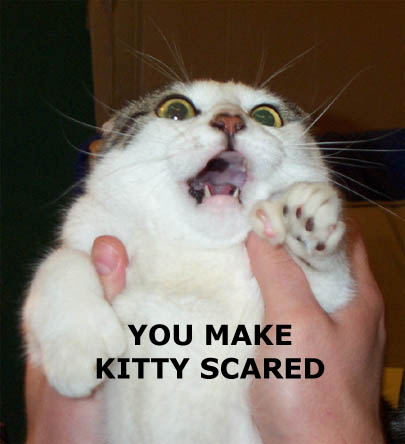 you_make_kitty_scared-1585.jpg