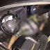 Popular é assassinado dentro de carro com vários tiros na noite desta segunda