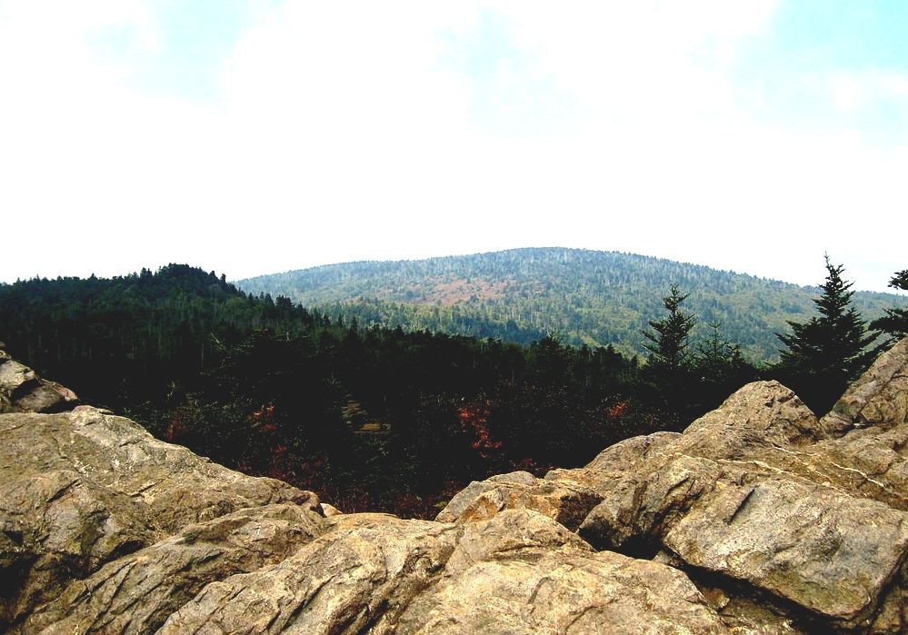 Mount Rogers Virginia Highest Point