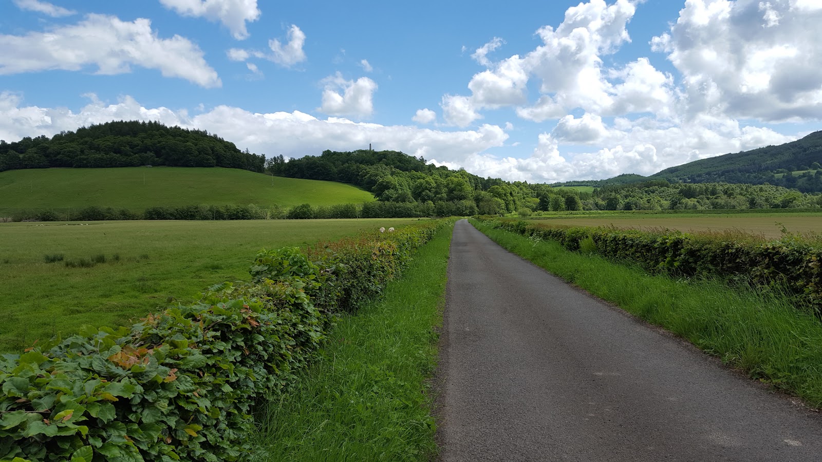 Neil's Hillwalking Exploits Crieff Laggan Hill and Tom a'Chasteil and