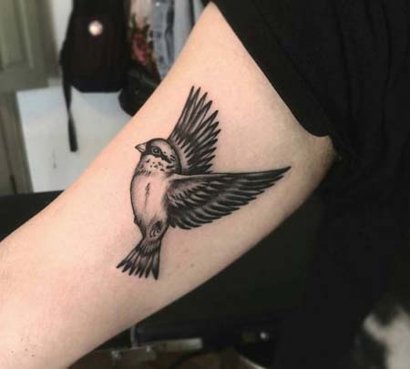 Tatuagens femininas nos bíceps Tatuagens femininas nos bíceps