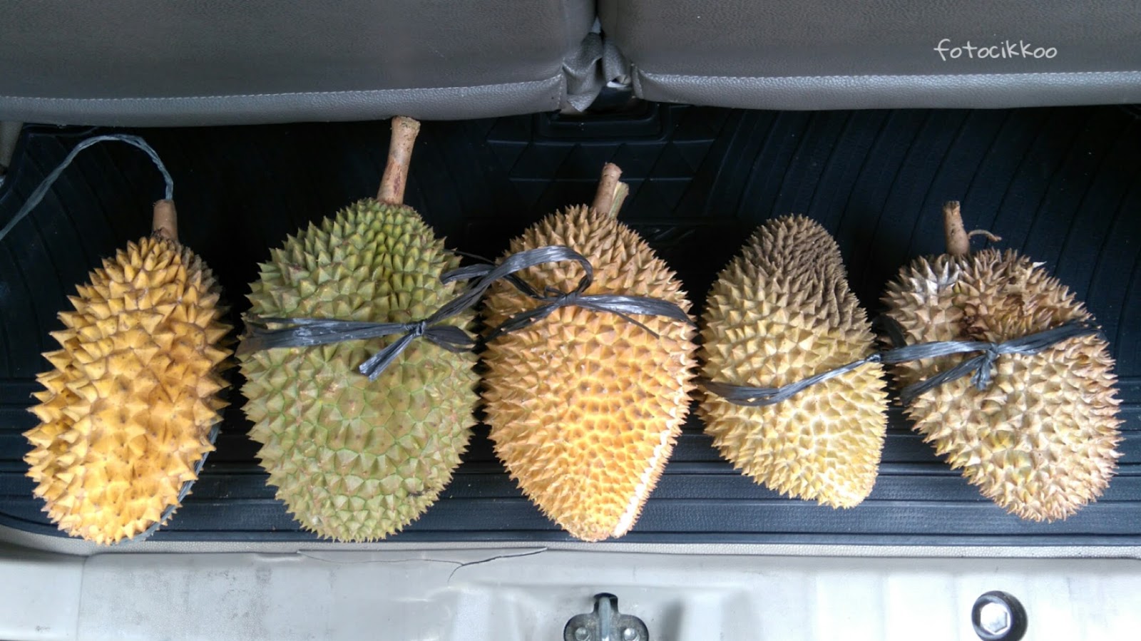 Можно ли из тайланда вывозить фрукты. Косточки дуриана. Дуриан в Тайланде. Фрукт в Тайланде который нельзя вывозить. Фрукт который запрещено вывозить из Тайланда.