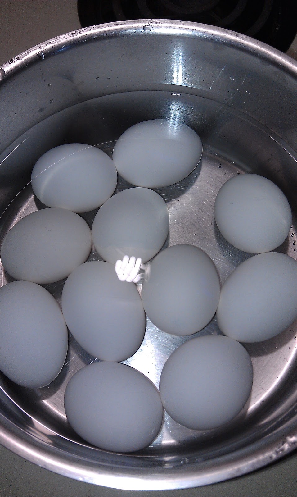 Undercooked Hard Boiled Eggs Design Corral