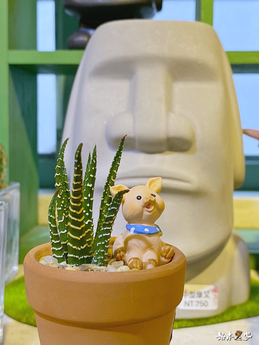 柚莉YURI Store Zakka鶯歌多肉植物店滿滿童趣文青風的秘巷雜貨店