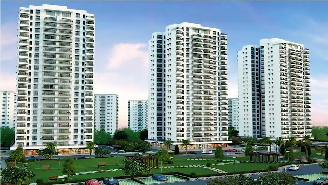 Apartments in Chintels Paradiso Sector 109