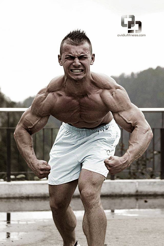 MUSCLE ADDICTS INC: MUSCLE PIC COLLECTION #37 - NOTHING BUT BEEF!