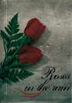 ROSES IN THE RAIN