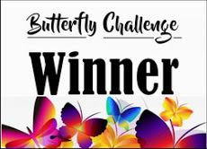 4 x Butterfly Challenge Winner
